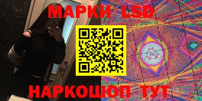 индика Можайск