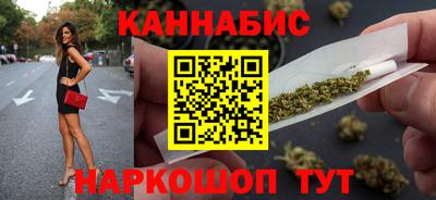 индика Можайск