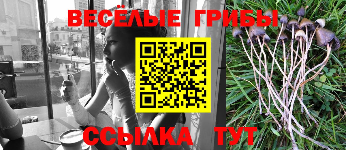Галлюциногенные грибы мицелий  Вход с VPN  Бугуруслан 
